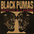 Black Pumas - Chronicles Of A Diamond (Indies Exclusive Transparent Red 1LP Vinyl)