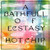 Hot Chip - A Bath Full Of Ecstasy (VINYL ALBUM)