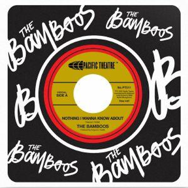 The Bamboos - Nothing I Wanna Know About (VINYL 7 INCH SINGLE)