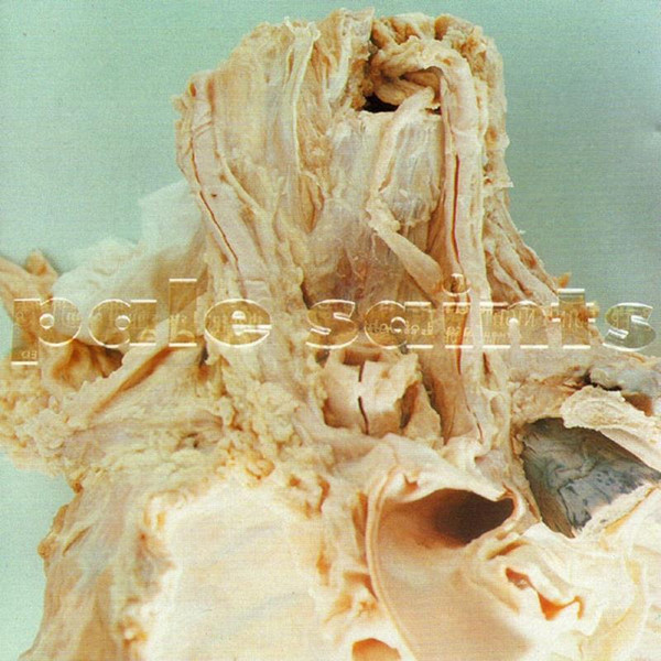 Pale Saints - In Ribbons (30th Anniversary Deluxe 2LP on neutral unpigmen(Vinyl)