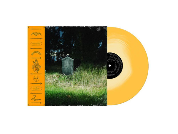 Rattlesnakes, Frank Carter & The - Dark Rainbow [Lp] (Honey Colored Vinyl, Limited,) (LP)