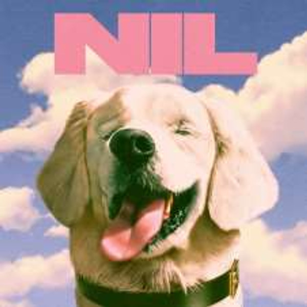 The Dirty Nil - Fuck Art (Pink Lp) (LP)