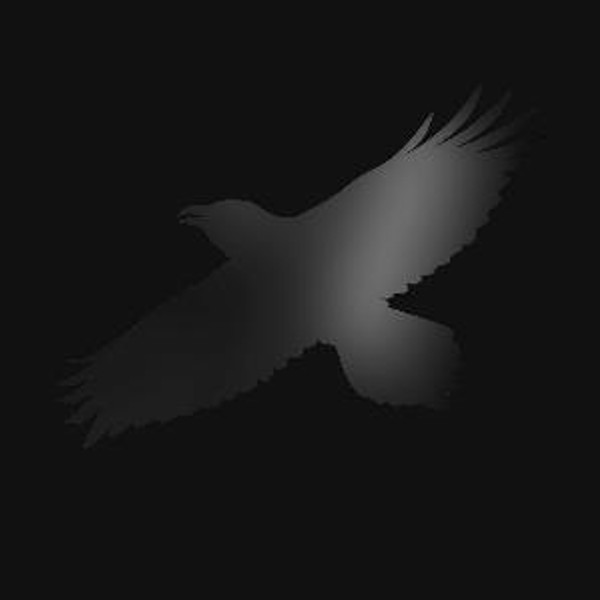 Sigur RÃ³s - Odins Raven Magic (2LP)