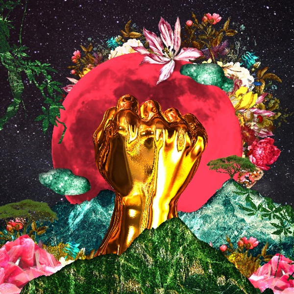 Rina Mushonga - In A Galaxy (CD)