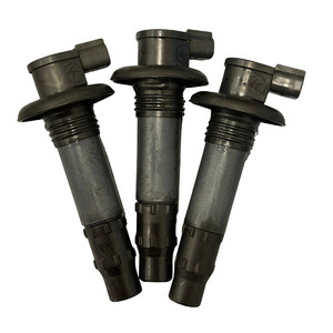 OEM Ignition Coil Set for 2008-2016 Sea-Doo Wake 155 - 296000307