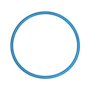 Nairn 4" O-Ring