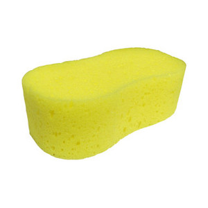 Sponge Bone Shaped