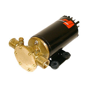 Pump SPX F4B-19 Flexible Impeller Oil 1/2 BSP 12V