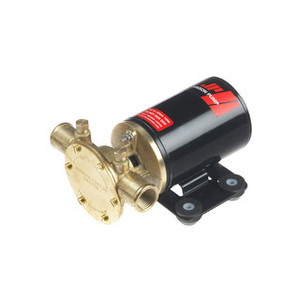 Pump SPX F38B-19 Flexible Impeller Oil 1/2 BSP 12V