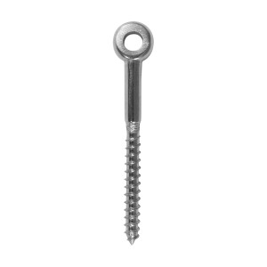 BLA Eye Head Lag Screws - Stainless Steel - 165026
