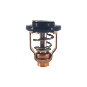 Genuine Yamaha Thermostat - 60V-12411-00