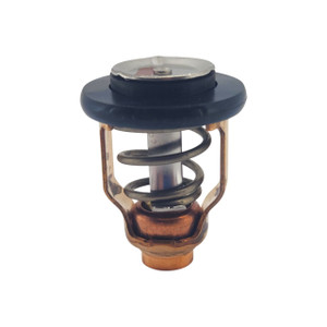Genuine Yamaha Thermostat - 6D9-12411-00