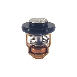 Genuine Yamaha Thermostat - 6E5-12411-30