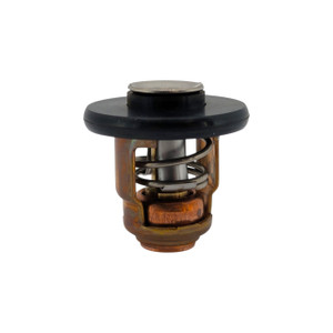 Genuine Yamaha Thermostat - 6FM-12411-00
