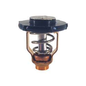 Genuine Yamaha Thermostat - 6FP-12411-00
