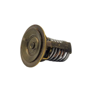 Genuine Mercury Thermostat - 850055001