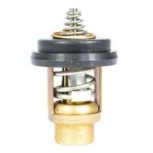 Thermostat - 18-3638