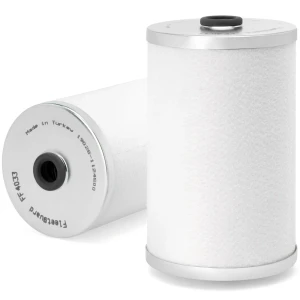Marine Fuel Filter - FF4033