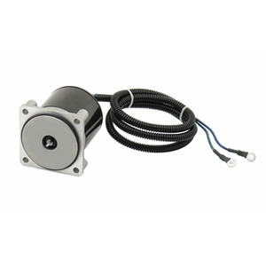 Trim Motor 4 Bolt for Suzuki DF200-300 2004-10 Johnson 90/115/140HP 4-Stroke