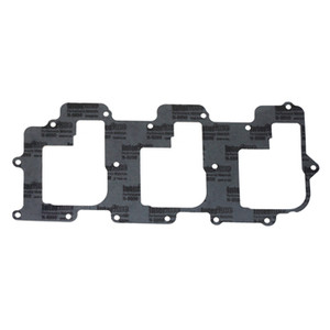 Reed Gasket for Yamaha V6