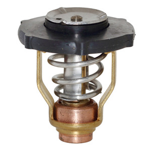 Thermostat for Yamaha F115 2006-Late