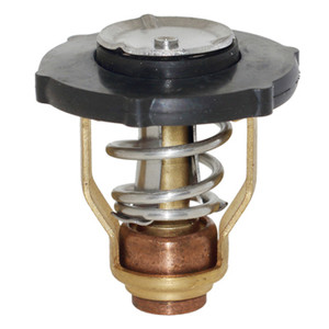 Thermostat for Yamaha F90B-VF90 2006-Late