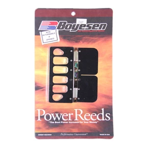 Boyesen Reed Kit Rubber Block for Mercury 3.0L 225HP Carburettor