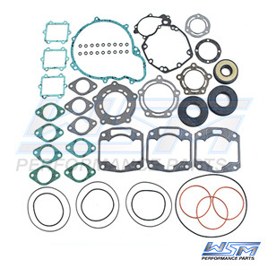 Complete Gasket Kit for 1995 Arctic Cat Tigershark 900
