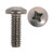 3/16 x 1 Stainless Steel Red Metal Thread Screw X/R