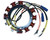 Johnson Evinrude Stator - 173-4287