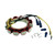 Stator - 35amp for Johnson & Evinrude 200 HP-300HP 19861987