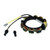 Stator for Johnson & Evinrude 60 HP-75h 19781988 3 Cylinder
