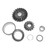 Gear Set - Lower - MR/Alpha One without Preload Pin with 13/21 Gears 1985-90