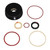 Cap & Seal Kit - E-Tec Inline 3 & V4