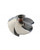 Impeller for 2018-2026 Sea-Doo GTX 170 - 155.5mm 10/18