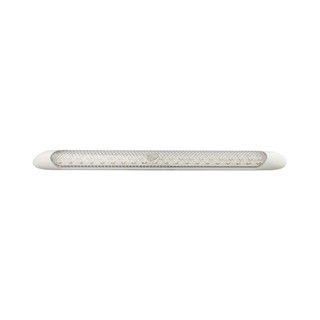 Light LED & Switch 300x25mm Clear