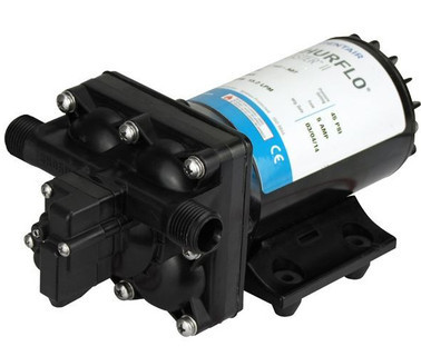 Pump Blaster 2 12V (bulk)