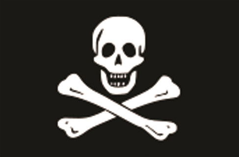 Pirates Flag 300X450mm
