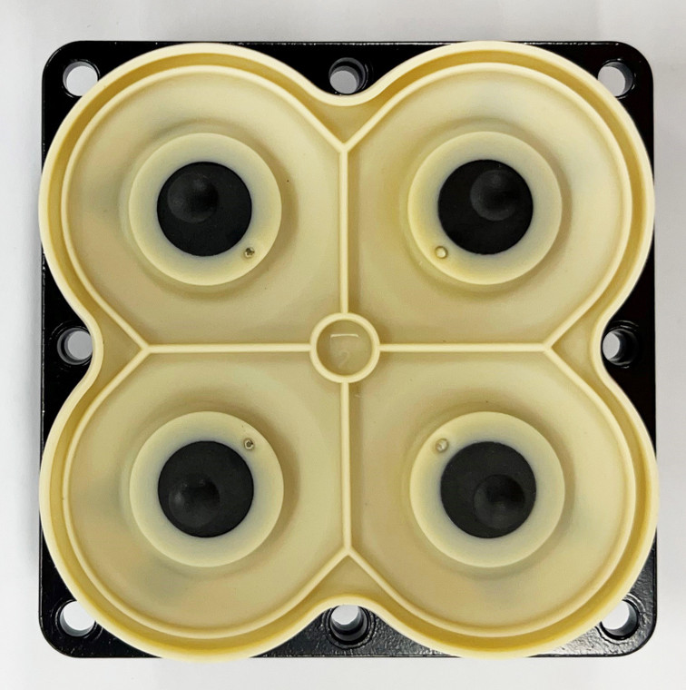 Drive/Diaphragm Shurflo