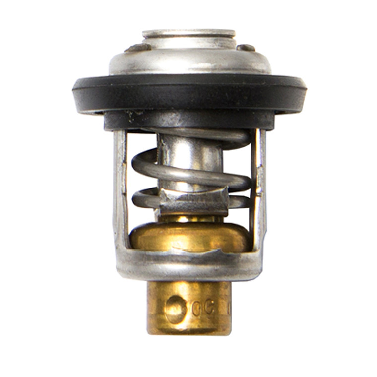 Sierra Thermostat 60C - Yamaha