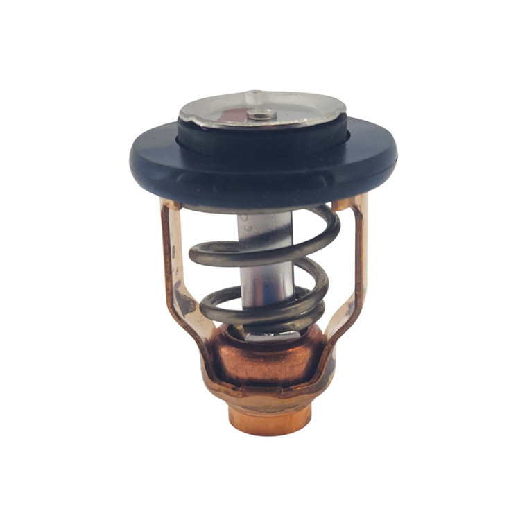 Genuine Yamaha Thermostat - 6D9-12411-00