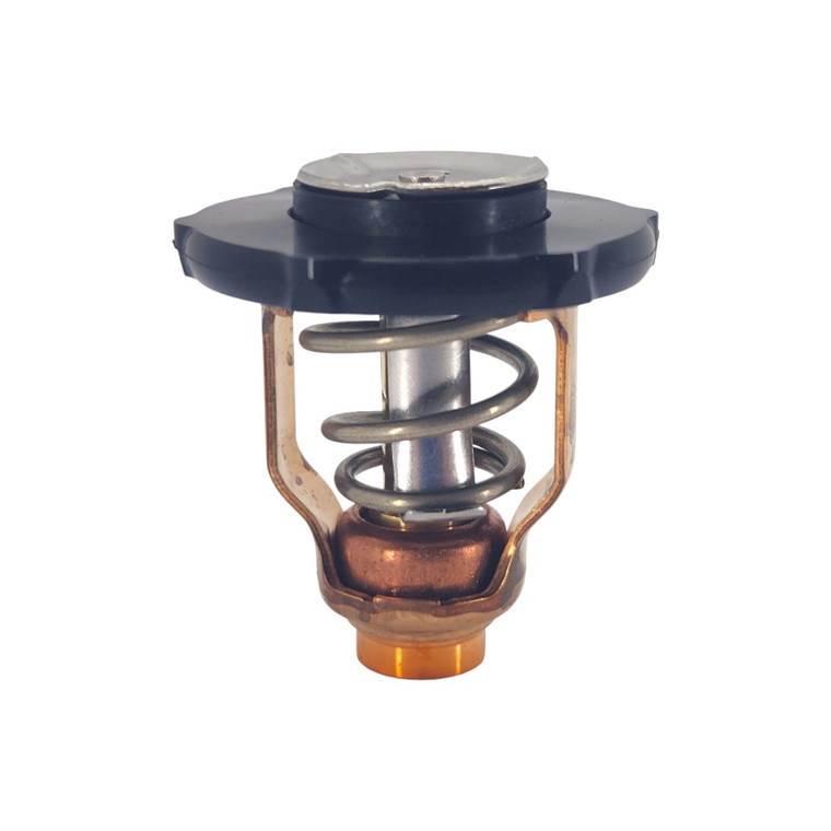 Genuine Yamaha Thermostat - 6DA-12411-01