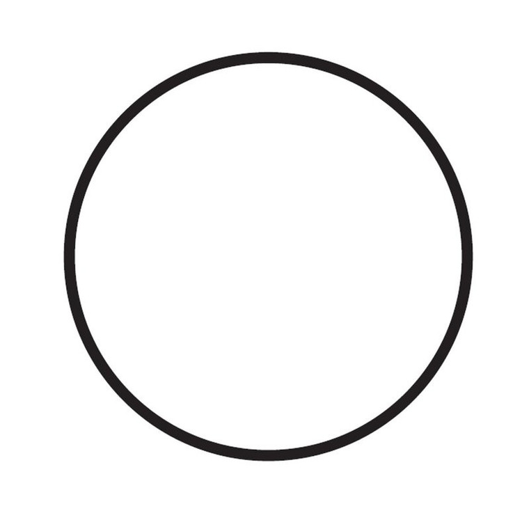 O-Ring - 0.2172.142