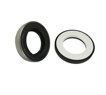 Mechanical Seal - 09-0.2247.018