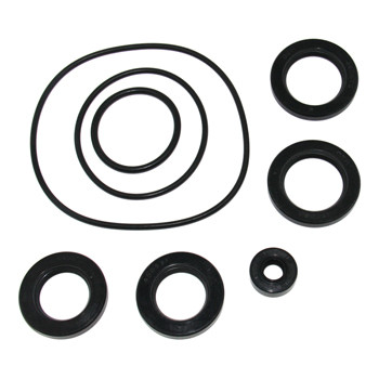 Lower Gearcase Seal Kit for Suzuki DF300