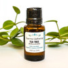Tea Tree (Melaleuca alternifolia)  Essential Oil