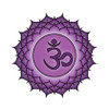 (7th) Crown Chakra Mist - Higher Self