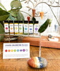 Chakra Balancing - 5 ml - Box Set