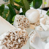 Scolecite