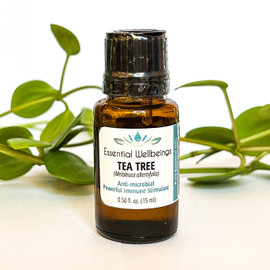 Tea Tree (Melaleuca alternifolia)  Essential Oil